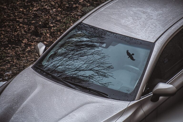 Insurance Coverage Windscreen Price List